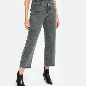 soldes ligne Isabel Marant Jean Dilali Coton Gris 11